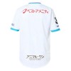 Original Fußballtrikot Sagan Tosu Auswärtstrikot 2025-26 Für Herren